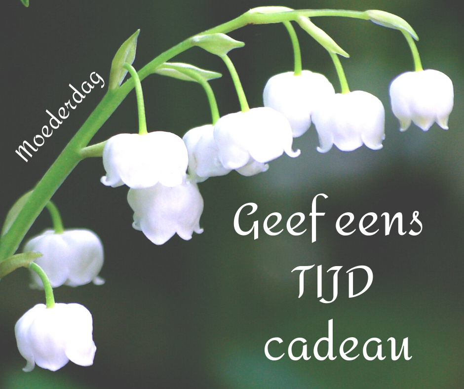 Geef eens TIJD cadeau